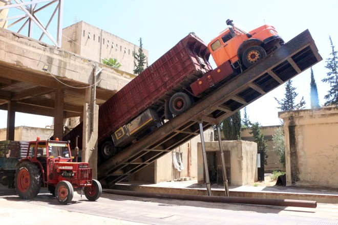 فرع الحبوب في درعا يعلن جاهزية مركزي ازرع والصنمين لاستلام محصول القمح