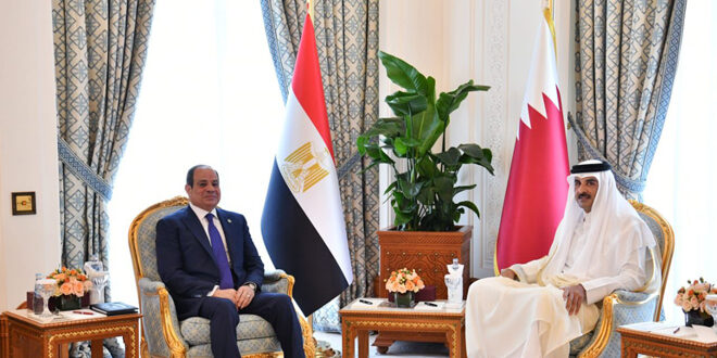 مصر وقطر تؤكدان أهمية الحفاظ على وحدة سوريا وحماية مقدرات شعبها واستقرارها
