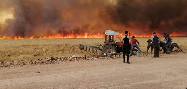 أكثر من 130 حريقاً في السويداء خلال الأشهر الماضية وتشديد على الالتزام بالإجراءات الوقائية