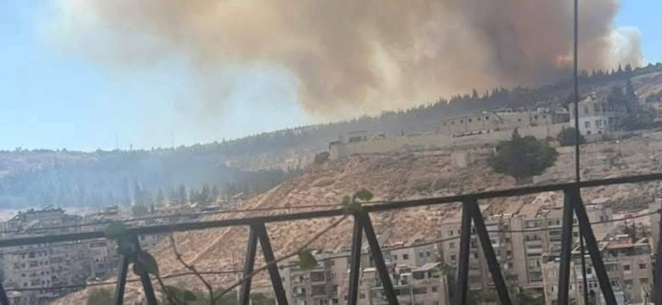 امتدّ بين مشروع دمر وقصر الشعب في دمشق.. الدفاع المدني يعمل على إخماد الحريق منذ ساعات